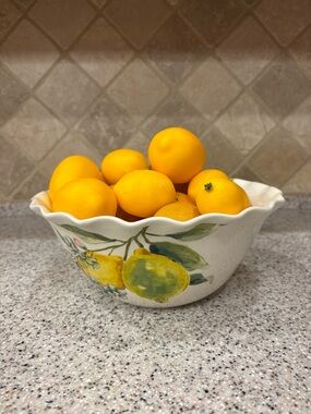 Hand-painted ceramic ruffle bowl featuring lemon motifs. Never Used. Display